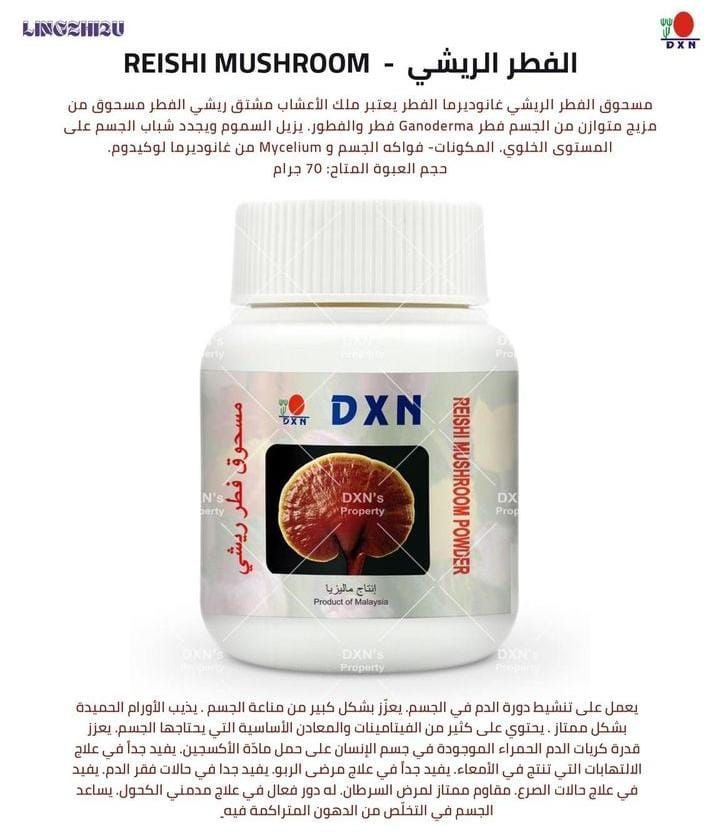 الفطر الريشي DXN